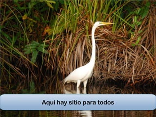 Aquí hay sitio para todos