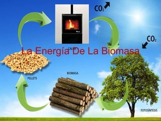 La Energía De La Biomasa

 