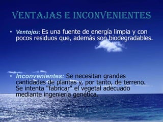 VENTAJAS E INCONVENIENTES
• Ventajas: Es una fuente de energía limpia y con
pocos residuos que, además son biodegradables.

• Inconvenientes: Se necesitan grandes
cantidades de plantas y, por tanto, de terreno.
Se intenta "fabricar" el vegetal adecuado
mediante ingeniería genética.

 