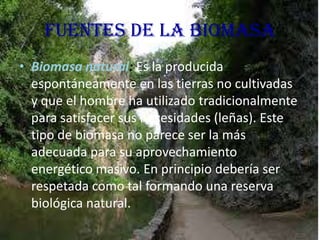 FUENTES DE LA BIOMASA
• Biomasa natural: Es la producida
espontáneamente en las tierras no cultivadas
y que el hombre ha utilizado tradicionalmente
para satisfacer sus necesidades (leñas). Este
tipo de biomasa no parece ser la más
adecuada para su aprovechamiento
energético masivo. En principio debería ser
respetada como tal formando una reserva
biológica natural.

 