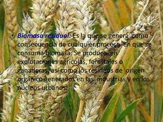 • Biomasa residual: Es la que se genera como
consecuencia de cualquier proceso en que se
consuma biomasa. Se produce en
explotaciones agrícolas, forestales o
ganaderas, así como los residuos de origen
orgánico generados en las industrias y en los
núcleos urbanos.

 