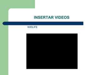 INSERTAR VIDEOS
WIDLIFE
 
