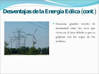 Desventajas de la Energía Eólica (cont.) Ocasiona grandes niveles de mortandad entre las aves que viven en el área debido a que se golpean con las aspas de los molinos.  