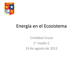 Energía en el Ecosistema

       Cristóbal Urzúa
         1° medio C
    24 de agosto de 2012
 