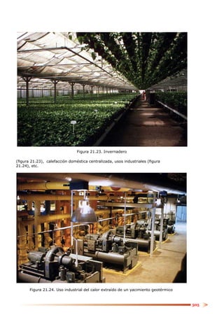 Figura 21.23. Invernadero

(ﬁgura 21.23), calefacción doméstica centralizada, usos industriales (ﬁgura
21.24), etc.




       Figura 21.24. Uso industrial del calor extraído de un yacimiento geotérmico


                                                                                     505
 