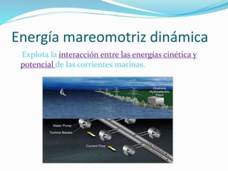 Energía mareomotriz dinámica
Explota la interacción entre las energías cinética y
potencial de las corrientes marinas.
 