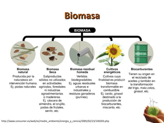 Biomasa http://www.consumer.es/web/es/medio_ambiente/energia_y_ciencia/2005/02/23/140203.php 