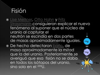  Lise Meitner, Otto Hahn y Fritz
  Strassmann consiguieron explicar el nuevo
  fenómeno al suponer que el núcleo de
  uranio al capturar el
  neutrón se escindía en dos partes
  de masas aproximadamente iguales.
 De hecho detectaron bario, de
  masa aproximadamente la mitad
  que la del uranio. Posteriormente se
  averiguó que esa fisión no se daba
  en todos los isótopos del uranio,
  sino solo en el 235U.
 