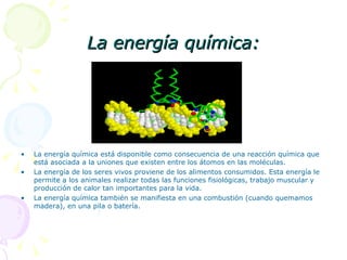 La energía química: La energía química está disponible como consecuencia de una reacción química que está asociada a la uniones que existen entre los átomos en las moléculas. La energía de los seres vivos proviene de los alimentos consumidos. Esta energía le permite a los animales realizar todas las funciones fisiológicas, trabajo muscular y producción de calor tan importantes para la vida. La energía química también se manifiesta en una combustión (cuando quemamos madera), en una pila o batería. 