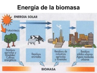 Energía de la biomasa 