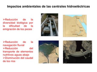 Impactos ambientales de las centrales hidroeléctricas Reducción de la diversidad biológica por la dificultad de la emigración de los peces Reducción de la navegación fluvial  Reducción del transporte de elementos nutritivos aguas abajo Disminución del caudal de los ríos 