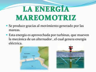  Se produce gracias al movimiento generado por las
mareas.
 Esta energía es aprovechada por turbinas, que mueven
la mecánica de un alternador , el cual genera energía
eléctrica.
 