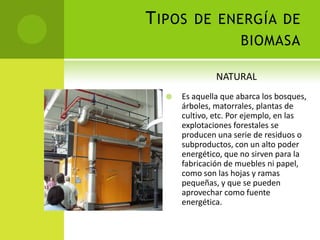 TIPOS DE ENERGÍA DE
BIOMASA
 Es aquella que abarca los bosques,
árboles, matorrales, plantas de
cultivo, etc. Por ejemplo, en las
explotaciones forestales se
producen una serie de residuos o
subproductos, con un alto poder
energético, que no sirven para la
fabricación de muebles ni papel,
como son las hojas y ramas
pequeñas, y que se pueden
aprovechar como fuente
energética.
NATURAL
 