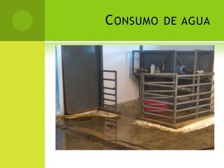 CONSUMO DE AGUA
 