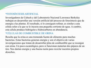 *FOTOSÍNTESIS ARTIFICIAL
Investigadores de Caltech y del Laboratorio Nacional Lawrence Berkeley
trabajan en desarrollar una versión artificial del proceso de fotosíntesis que da
energía a las plantas. El resultado, si lo consiguen refinar, es similar a una
célula solar a la que se le inyecta una pequeña corriente de agua. A cambio,
esta célula produce hidrógeno e hidrocarburos en abundancia.
*CÉLULAS DE COMBUSTIBLE DE ORINA
Resulta que la orina es una tremenda fuente de alimento para muchas
bacterias. Estas bacterias generan energía y son el objetivo de varias
investigaciones que tratan de desarrollar pilas de combustible que se recargan
con orina. Un poco escatológico, pero si funcionan matarían dos pájaros de un
tiro. Nos darían energía y una buena razón para reciclar nuestros propios
desechos.
 