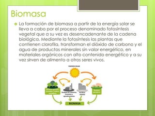 Biomasa
 La formación de biomasa a partir de la energía solar se
lleva a cabo por el proceso denominado fotosíntesis
vegetal que a su vez es desencadenante de la cadena
biológica. Mediante la fotosíntesis las plantas que
contienen clorofila, transforman el dióxido de carbono y el
agua de productos minerales sin valor energético, en
materiales orgánicos con alto contenido energético y a su
vez sirven de alimento a otros seres vivos.
 