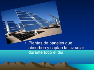 • Plantas de paneles que
  absorben y captan la luz solar
  durante todo el día
 