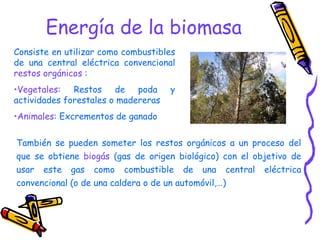 Energía de la biomasa  Consiste en utilizar como combustibles de una central eléctrica convencional  restos orgánicos  : Vegetales : Restos de poda y actividades forestales o madereras Animales : Excrementos de ganado También se pueden someter los restos orgánicos a un proceso del que se obtiene  biogás  (gas de origen biológico) con el objetivo de usar este gas como combustible de una central eléctrica convencional (o de una caldera o de un automóvil,…) 
