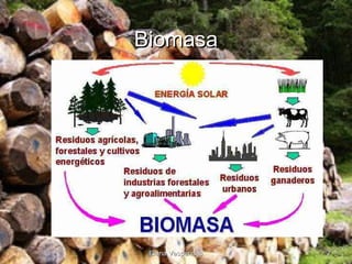 Biomasa

Elena Vesperinas

7

 