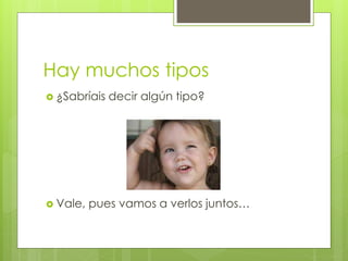 Hay muchos tipos 
 ¿Sabríais decir algún tipo? 
 Vale, pues vamos a verlos juntos… 
 