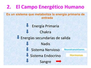 2. El Campo Energético Humano Es un sistema que metaboliza la energía primaria de entrada Energía Primaria Chakra Energías secundarias de salida Nadis Sistema Nervioso Sistema Endocrino Sangre Neurotransmisores Hormonas 