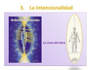 3. La Intencionalidad La Línea del Hara 