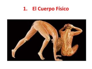 1. El Cuerpo Físico 