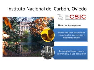 Instituto Nacional del Carbón, Oviedo 
Materiales para aplicaciones estructurales, energéticas y medioambientales 
Tecnologías limpias para la conversión y el uso del carbón 
Líneas de investigación  
