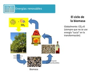 El ciclo de 
la biomasa 
Globalmente: CO2=0 
(siempre que no se use 
energía “sucia” en la 
transformación) 
+ 
Fotosíntesis y 
crecimiento 
Biomasa 
Transformación 
en Biocombustibles 
Utilización 
CO2 
 