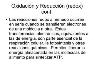 Oxidación y Reducción (redox) cont. Las reacciones redox a menudo ocurren en serie cuando se transfieren electrones de una molécula a otra.  Estas transferencias electrónicas, equivalentes a las de energía, son parte esencial de la respiración celular, la fotosíntesis y otras reacciones químicas.  Permiten liberar la energía almacenada en las moléculas de alimento para sintetizar ATP.  