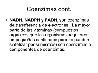 Coenzimas cont. NADH, NADPH y FADH 2  son coenzímas de transferencia de electrones.  La mayor parte de las vitaminas (compuestos orgánicos que los organismos requieren en pequeñas cantidades pero no pueden sintetizar por sí mismos) son coenzímas o componentes de coenzímas. 