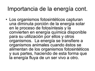 Importancia de la energía cont. Los organismos fotosintéticos capturan una diminuta porción de la energía solar en le proceso de fotosíntesis y la convierten en energía química disponible para su utilización por ellos y otros organismos.  La energía se transfiere a organismos animales cuando éstos se alimentan de los organismos fotosintéticos y sus partes, haciendo de esta forma que la energía fluya de un ser vivo a otro. 