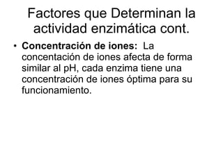 Factores que Determinan la actividad enzimática cont. Concentración de iones:  La concentación de iones afecta de forma similar al pH, cada enzima tiene una concentración de iones óptima para su funcionamiento. 
