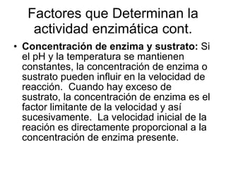 Factores que Determinan la actividad enzimática cont. Concentración de enzima y sustrato:  Si el pH y la temperatura se mantienen constantes, la concentración de enzima o sustrato pueden influir en la velocidad de reacción.  Cuando hay exceso de sustrato, la concentración de enzima es el factor limitante de la velocidad y así sucesivamente.  La velocidad inicial de la reación es directamente proporcional a la concentración de enzima presente. 