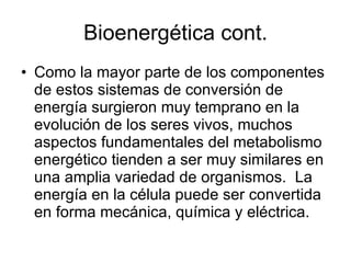 Bioenergética cont. Como la mayor parte de los componentes de estos sistemas de conversión de energía surgieron muy temprano en la evolución de los seres vivos, muchos aspectos fundamentales del metabolismo energético tienden a ser muy similares en una amplia variedad de organismos.  La energía en la célula puede ser convertida en forma mecánica, química y eléctrica. 