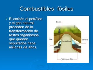 Combustibles  fósiles El carbón el petróleo y el gas natural proceden de la transformación de restos organismos que quedan sepultados hace millones de años. 