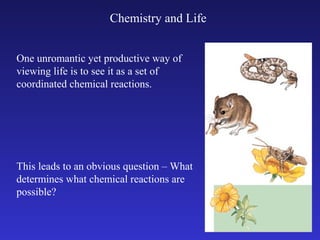 Chemistry and Life


One unromantic yet productive way of
viewing life is to see it as a set of
coordinated chemical reactions.




This leads to an obvious question – What
determines what chemical reactions are
possible?
 