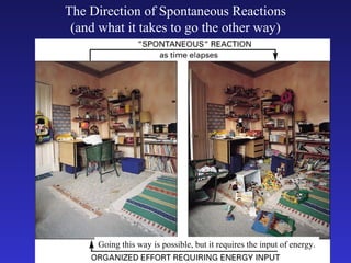 The Direction of Spontaneous Reactions
 (and what it takes to go the other way)




      Going this way is possible, but it requires the input of energy.
 