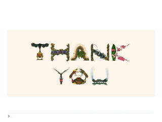 Insect Muscular System