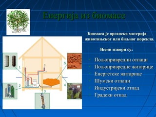 Енергија из биомасеЕнергија из биомасе
 Пољопривредни отпациПољопривредни отпаци
 Пољопривредне житарицеПољопривредне житарице
 Енергетске житарицеЕнергетске житарице
 Шумски отпациШумски отпаци
 Индустријски отпадИндустријски отпад
 Градски отпадГрадски отпад
Биомаса је органска материја
животињског или биљног порекла.
Њени извори су:
 