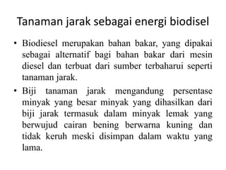 Tanaman jarak sebagai energi biodisel
• Biodiesel merupakan bahan bakar, yang dipakai
sebagai alternatif bagi bahan bakar dari mesin
diesel dan terbuat dari sumber terbaharui seperti
tanaman jarak.
• Biji tanaman jarak mengandung persentase
minyak yang besar minyak yang dihasilkan dari
biji jarak termasuk dalam minyak lemak yang
berwujud cairan bening berwarna kuning dan
tidak keruh meski disimpan dalam waktu yang
lama.
 