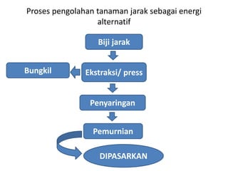Proses pengolahan tanaman jarak sebagai energi
alternatif
Biji jarak
Ekstraksi/ press
Penyaringan
Bungkil
Pemurnian
DIPASARKAN
 