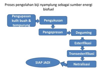 Proses pengolahan biji nyamplung sebagai sumber energi
biofuel
Pengupasan
kulit buah &
tempurung
Pengukusan
Pengepresan
Esterifikasi
Deguming
SIAP JADI
Transesterifikasi
Netralisasi
 