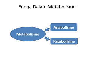Energi Dalam Metabolisme
Anabolisme
Katabolisme
Metabolisme
 