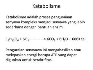 Katabolisme
Katabolisme adalah proses penguraiaan
senyawa kompleks menjadi senyawa yang lebih
sederhana dengan bantuan enzim.
C6H12O6 + 6O2————> 6CO2 + 6H2O + 686KKal.
Penguraian senayawa ini mengahasilkan atau
melepaskan energi berupa ATP yang dapat
digunkan untuk beraktifitas.
 