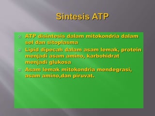  ATP disintesis dalam mitokondria dalam
sel dan sitoplasma
 Lipid dipecah dalam asam lemak, protein
menjadi asam amino, karbohidrat
menjadi glukosa
 Asam lemak mitokondria mendegrasi,
asam amino,dan piruvat.
 