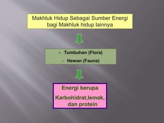 Makhluk Hidup Sebagai Sumber Energi
bagi Makhluk hidup lainnya
- Tumbuhan (Flora)
- Hewan (Fauna)
Energi berupa
Karbohidrat,lemak,
dan protein
 