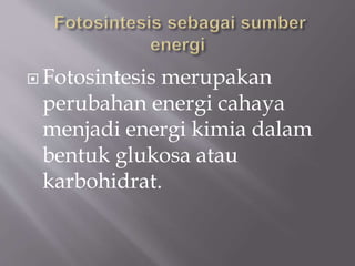  Fotosintesis merupakan
perubahan energi cahaya
menjadi energi kimia dalam
bentuk glukosa atau
karbohidrat.
 