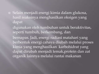  Selain menjadi energi kimia dalam glukosa,
hasil reaksinya menghasilkan oksigen yang
dapat
digunakan oleh tumbuhan untuk beraktivitas,
seperti tumbuh, berkembang, dan
bernapas. Jadi, energi radiasi matahari yang
berbentuk energi cahaya diubah melalui proses
kimia yang menghasilkan karbohidrat yang
dapat dirubah menjadi lemak,protein dan zat
organik lainnya melalui rantai makanan
 