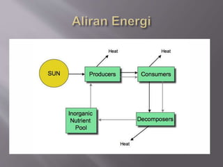 Energi dalam-biologi Slide 11